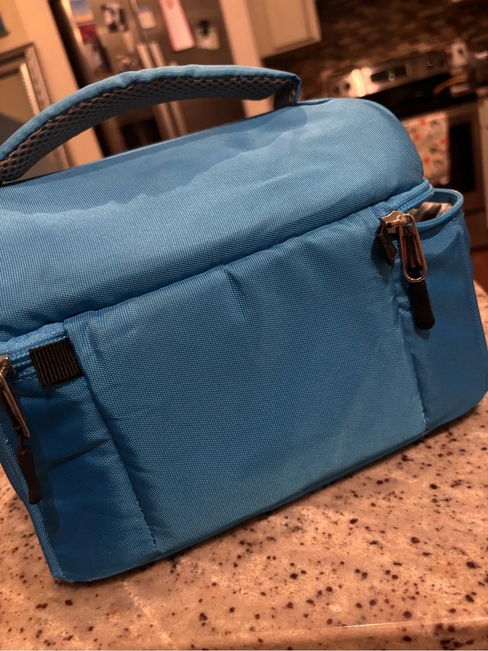 Blue Insulated Lunch Bag - Portable Meal Organizer